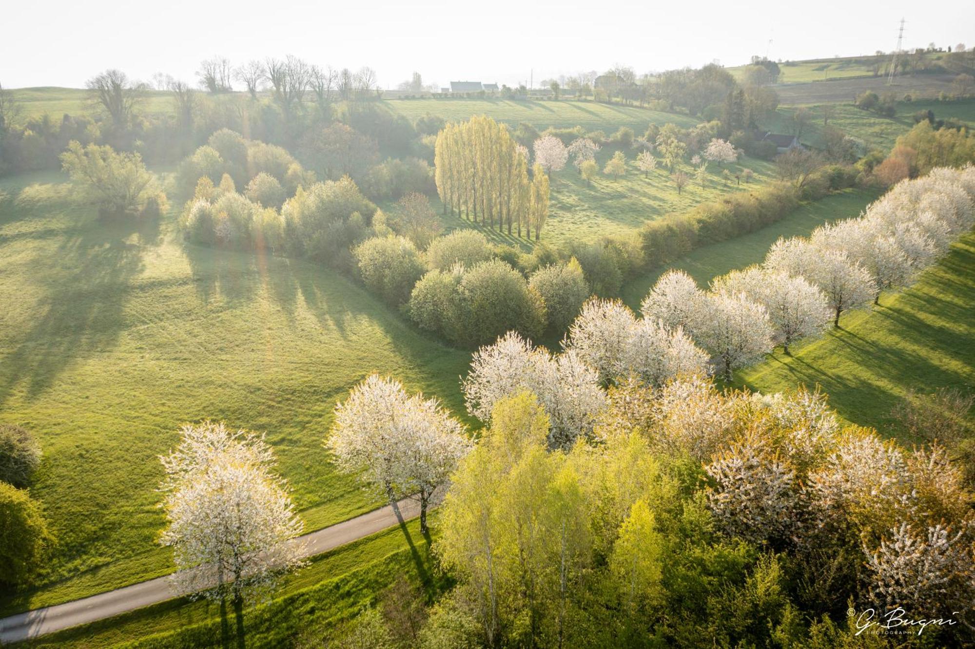 Cote Verger B&B Battice Exteriör bild